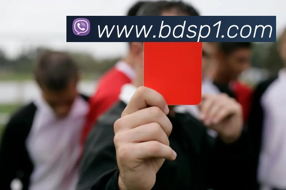 半岛体育服务体系