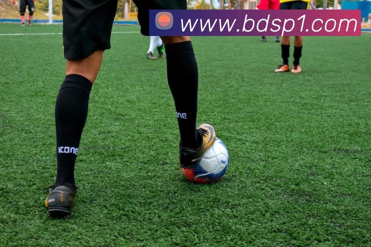 半岛体育APP 体育赛事宣传图